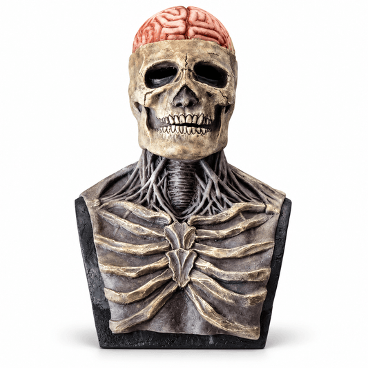 Mască de Halloween cu craniu și creier expus BlackAirsoft NECRO